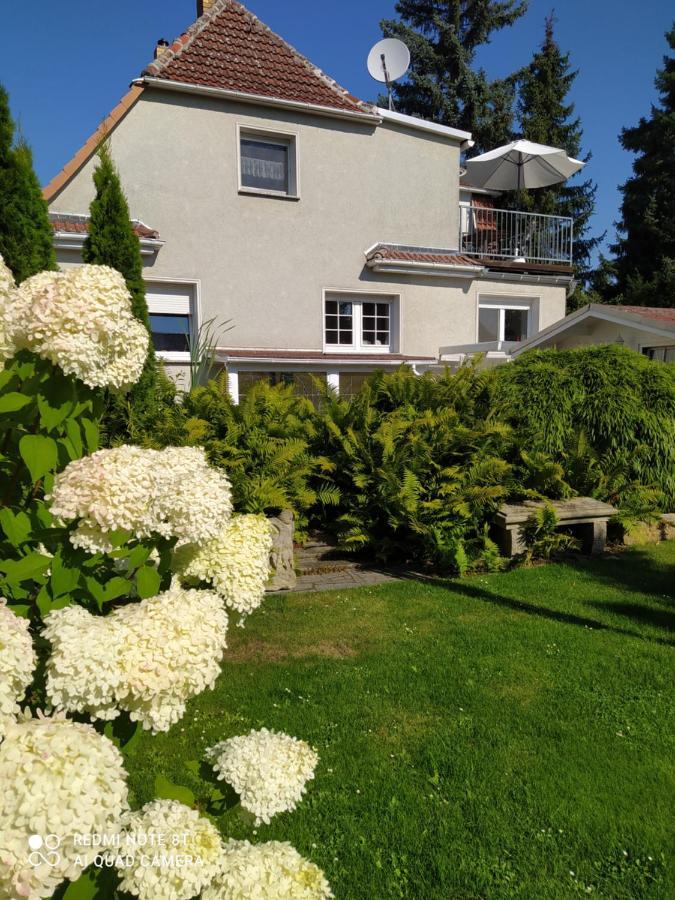 Kreativ Ferienwohnung Domizil Der Sinne Bad Liebenwerda Exteriör bild
